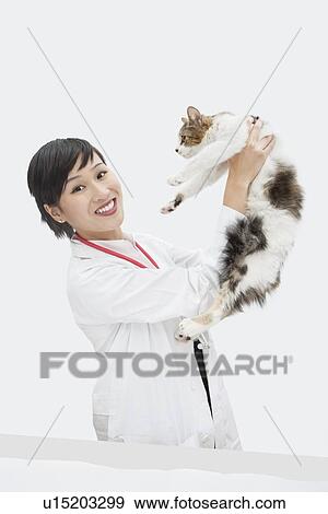 Portrait of female veterinarian holding up cat against gray background View Large Photo Image Stock Photo - Portrait of female veterinarian holding up cat against gray background. Fotosearch