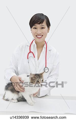 Portrait of female veterinarian with cat against gray background View Large Photo Image Stock Photo - Portrait of female veterinarian with cat against gray background. Fotosearch