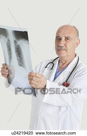 Stock Image - Portrait of serious senior male doctor holding medical radiograph over gray background. Fotosearch