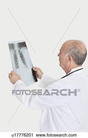 Senior male doctor examining medical radiograph over gray background View Large Photo Image Stock Image - Senior male doctor examining medical radiograph over gray background. Fotosearch