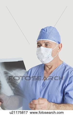 Stock Photo - Senior male surgeon examining x-ray over gray background. Fotosearch