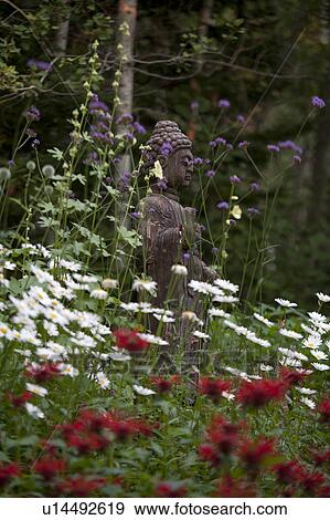 Buddha statue and flowers in a garden, Lake of the Woods, Ontario, Canada View Large Photo Image Stock Photo - Buddha statue and flowers in a garden, Lake of the Woods, Ontario, Canada. Fotosearch