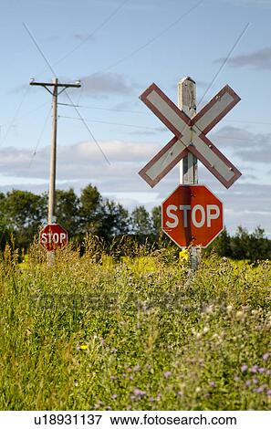 Crossing sign in a field, Manitoba, Canada View Large Photo Image Stock Photo - Crossing sign in a field, Manitoba, Canada. Fotosearch
