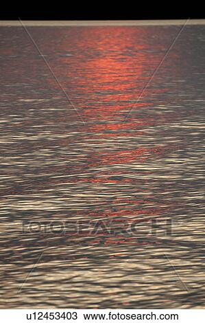 Lake at sunset, Lake of the Woods, Ontario, Canada View Large Photo Image Stock Image - Lake at sunset, Lake of the Woods, Ontario, Canada. Fotosearch