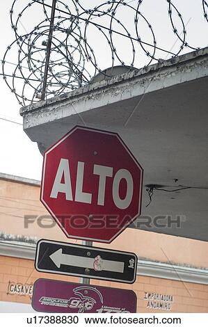 Low angle view of a Stop sign, Guatemala City, Guatemala View Large Photo Image Stock Image - Low angle view of a Stop sign, Guatemala City, Guatemala. Fotosearch
