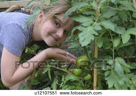 Stock Image - Portrait of a girl showing tomatoes, Lake of the Woods, Ontario, Canada. Fotosearch