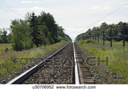 Stock Image - Railroad track passing through a field, Manitoba, Canada. Fotosearch