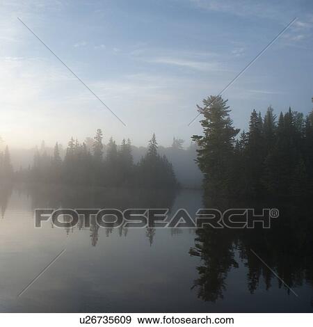 Reflection of tree in a lake, Lake of the Woods, Ontario, Canada View Large Photo Image Stock Photo - Reflection of tree in a lake, Lake of the Woods, Ontario, Canada. Fotosearch