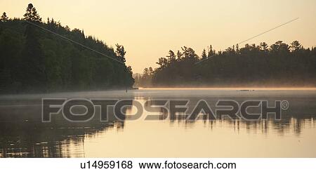 Reflection of trees in a lake, Lake of the Woods, Ontario, Canada View Large Photo Image Stock Photo - Reflection of trees in a lake, Lake of the Woods, Ontario, Canada. Fotosearch