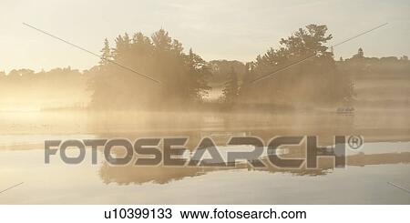 Stock Image - Reflection of trees in water during fog, Lake of the Woods, Ontario, Canada. Fotosearch