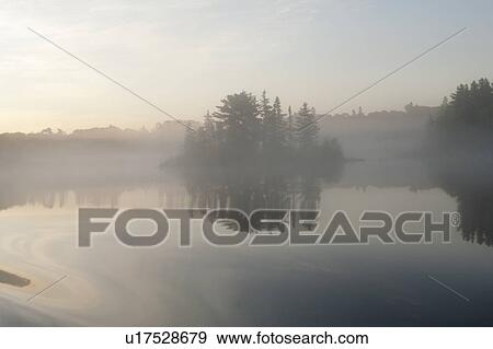 Stock Photo - Reflection of trees in water during fog, Lake of the Woods, Ontario, Canada. Fotosearch