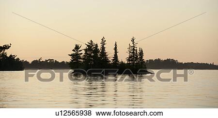 Reflection of trees in water, Lake of the Woods, Ontario, Canada View Large Photo Image Stock Photo - Reflection of trees in water, Lake of the Woods, Ontario, Canada. Fotosearch