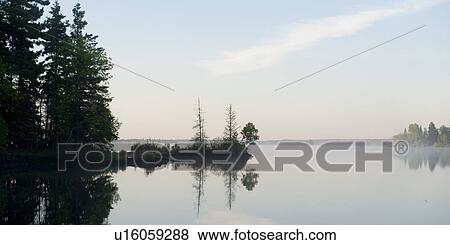 Stock Photo - Reflection of trees in water, Lake of the Woods, Ontario, Canada. Fotosearch