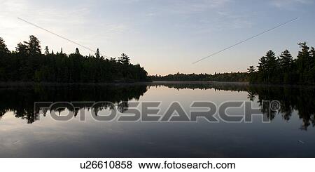 Reflection of trees in water, Lake of the Woods, Ontario, Canada View Large Photo Image Stock Photo - Reflection of trees in water, Lake of the Woods, Ontario, Canada. Fotosearch