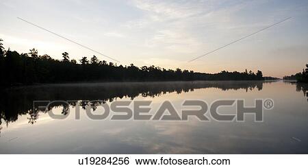 Stock Photograph - Reflection of trees in water, Lake of the Woods, Ontario, Canada. Fotosearch