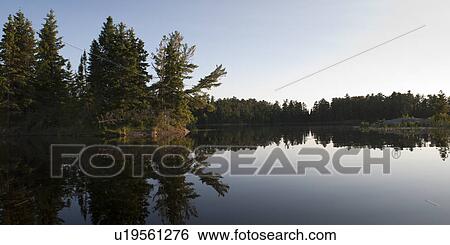 Reflection of trees in water, Lake of the Woods, Ontario, Canada View Large Photo Image Stock Photograph - Reflection of trees in water, Lake of the Woods, Ontario, Canada. Fotosearch