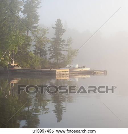 Reflection of trees in water, Lake of the Woods, Ontario, Canada View Large Photo Image Stock Photography - Reflection of trees in water, Lake of the Woods, Ontario, Canada. Fotosearch