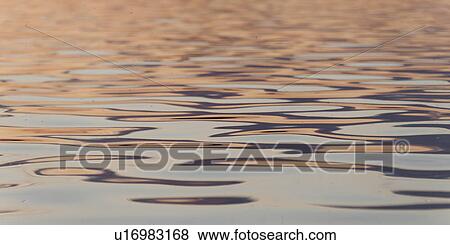 Rippled pattern on the water surface, Lake of the Woods, Ontario, Canada View Large Photo Image Stock Photo - Rippled pattern on the water surface, Lake of the Woods, Ontario, Canada. Fotosearch