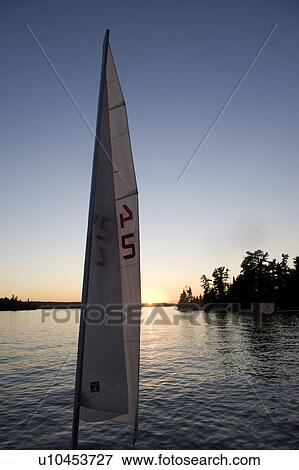 Stock Photo - Sail of a windsurfing board in a lake, Lake of the Woods, Ontario, Canada. Fotosearch