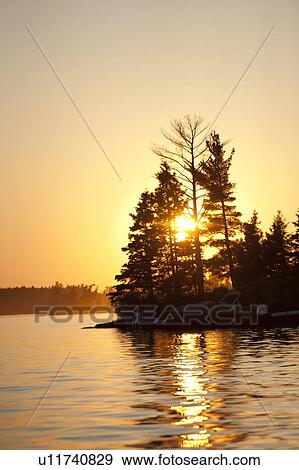 Silhouette of trees at sunrise, Lake of the Woods, Ontario, Canada View Large Photo Image Stock Photo - Silhouette of trees at sunrise, Lake of the Woods, Ontario, Canada. Fotosearch