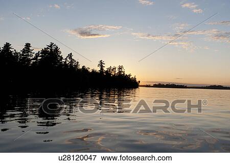 Stock Photo - Silhouette of trees at sunset, Lake of the Woods, Ontario, Canada. Fotosearch