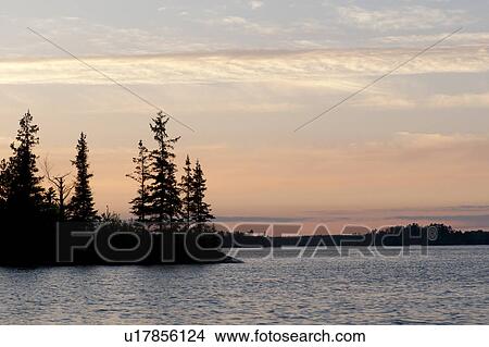Picture - Silhouette of trees at the lakeside, Lake of the Woods, Ontario, Canada. Fotosearch