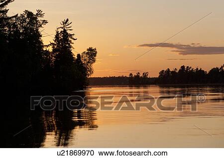 Silhouette of trees at the lakeside, Lake of the Woods, Ontario, Canada View Large Photo Image Stock Image - Silhouette of trees at the lakeside, Lake of the Woods, Ontario, Canada. Fotosearch