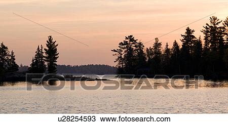 Stock Image - Silhouette of trees at the lakeside, Lake of the Woods, Ontario, Canada. Fotosearch