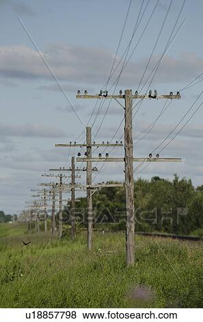 Telephone poles in a row, Manitoba, Canada View Large Photo Image Stock Photo - Telephone poles in a row, Manitoba, Canada. Fotosearch