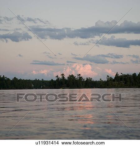Picture - Trees at the lakeside, Lake of the Woods, Ontario, Canada. Fotosearch