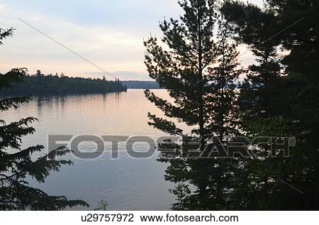 Stock Image - Trees at the lakeside, Lake of the Woods, Ontario, Canada. Fotosearch