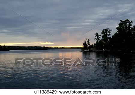 Trees at the lakeside, Lake of the Woods, Ontario, Canada View Large Photo Image Stock Photo - Trees at the lakeside, Lake of the Woods, Ontario, Canada. Fotosearch