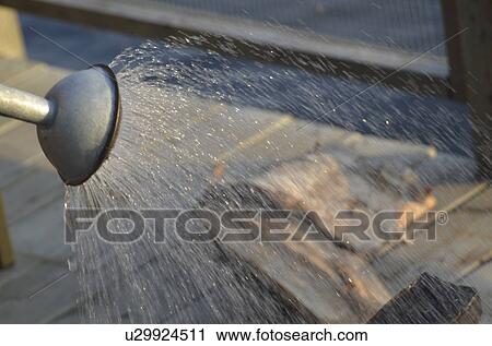 Water being sprayed from a watering can, Lake of the Woods, Ontario, Canada View Large Photo Image Stock Image - Water being sprayed from a watering can, Lake of the Woods, Ontario, Canada. Fotosearch