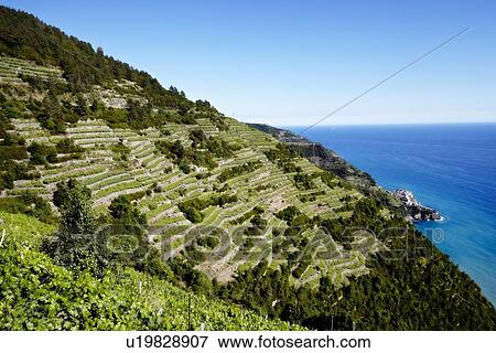 Stock Photo - Aerial view of roads cut into hillside. Fotosearch