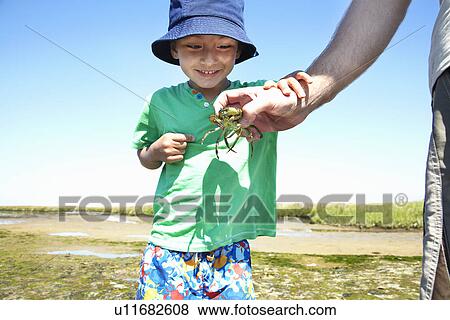 Boy examining crab in fathers hand View Large Photo Image Stock Photo - Boy examining crab in fathers hand. Fotosearch