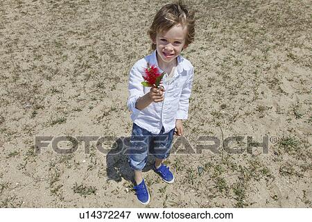 Boy holding flower on grassy beach View Large Photo Image Stock Photo - Boy holding flower on grassy beach. Fotosearch