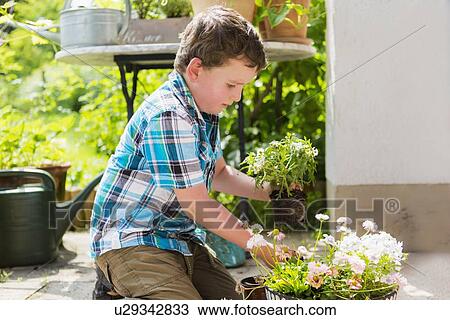 Stock Image - Boy planting flowers outdoors. Fotosearch