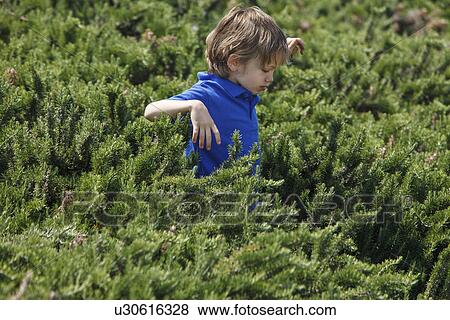 Stock Photo - Boy wading through shrubs outdoors. Fotosearch