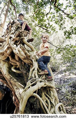 Children climbing tree together View Large Photo Image Stock Image - Children climbing tree together. Fotosearch