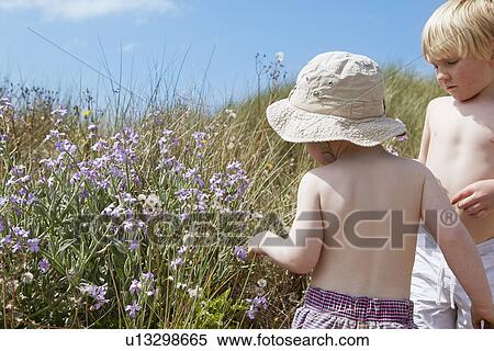 Children playing in tall grass View Large Photo Image Stock Photography - Children playing in tall grass. Fotosearch