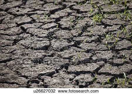 Stock Image - Close up of cracked dirt. Fotosearch