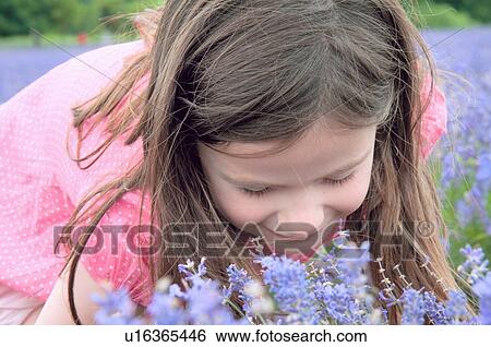 Close up of girl smelling flowers View Large Photo Image Stock Photograph - Close up of girl smelling flowers. Fotosearch