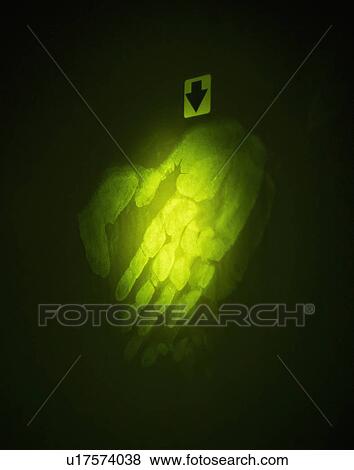 Stock Photo - Close up of handprint in forensic lab. Fotosearch