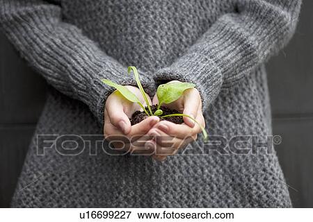 Stock Photo - Close up of teenage girl with seedling. Fotosearch