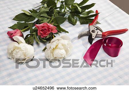 Cut flowers with shears and ribbon View Large Photo Image Stock Photograph - Cut flowers with shears and ribbon. Fotosearch