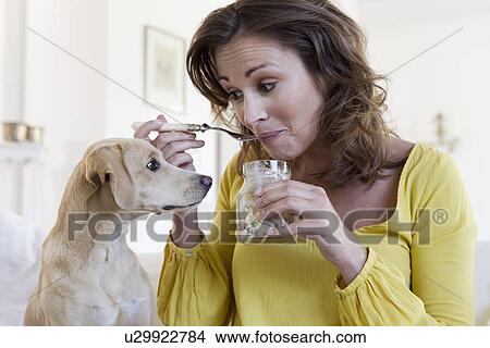 Picture - Dog begging for food from woman. Fotosearch