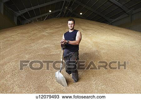 Farmer standing in shed of grain View Large Photo Image Stock Image - Farmer standing in shed of grain. Fotosearch