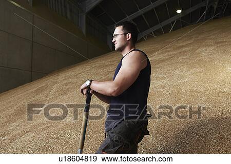 Farmer standing in shed of grain View Large Photo Image Stock Photo - Farmer standing in shed of grain. Fotosearch