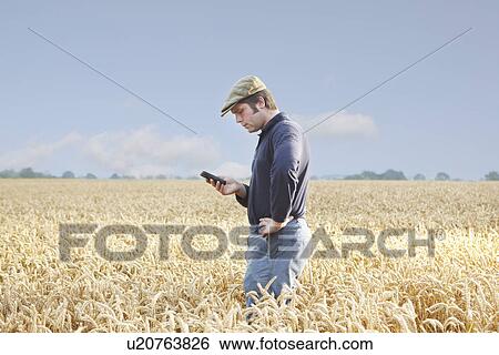 Farmer using cell phone in crop field View Large Photo Image Stock Photograph - Farmer using cell phone in crop field. Fotosearch