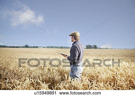 Farmer using tablet computer in field View Large Photo Image Stock Image - Farmer using tablet computer in field. Fotosearch